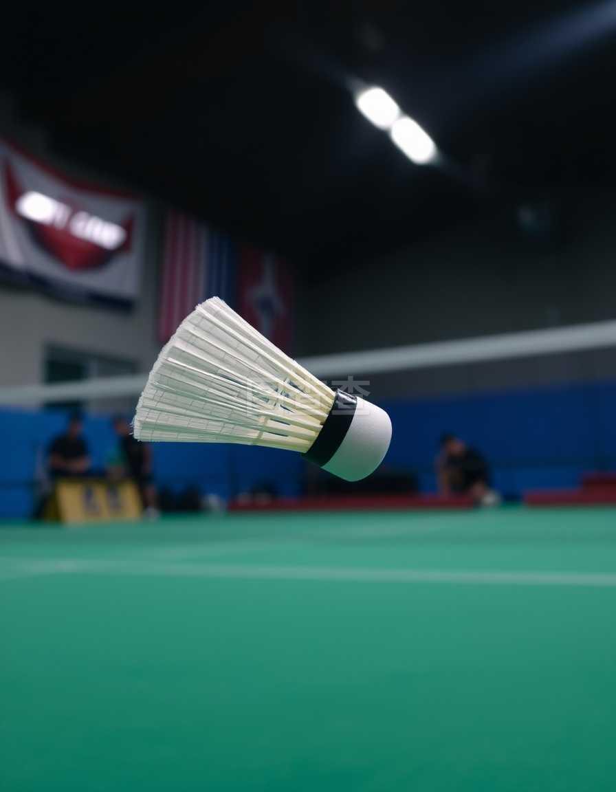 公众关注的 公众关注的